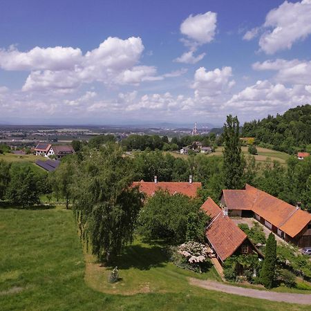 Ferienwohnung Lexsimihof - Stoeckl Wildon Exterior foto
