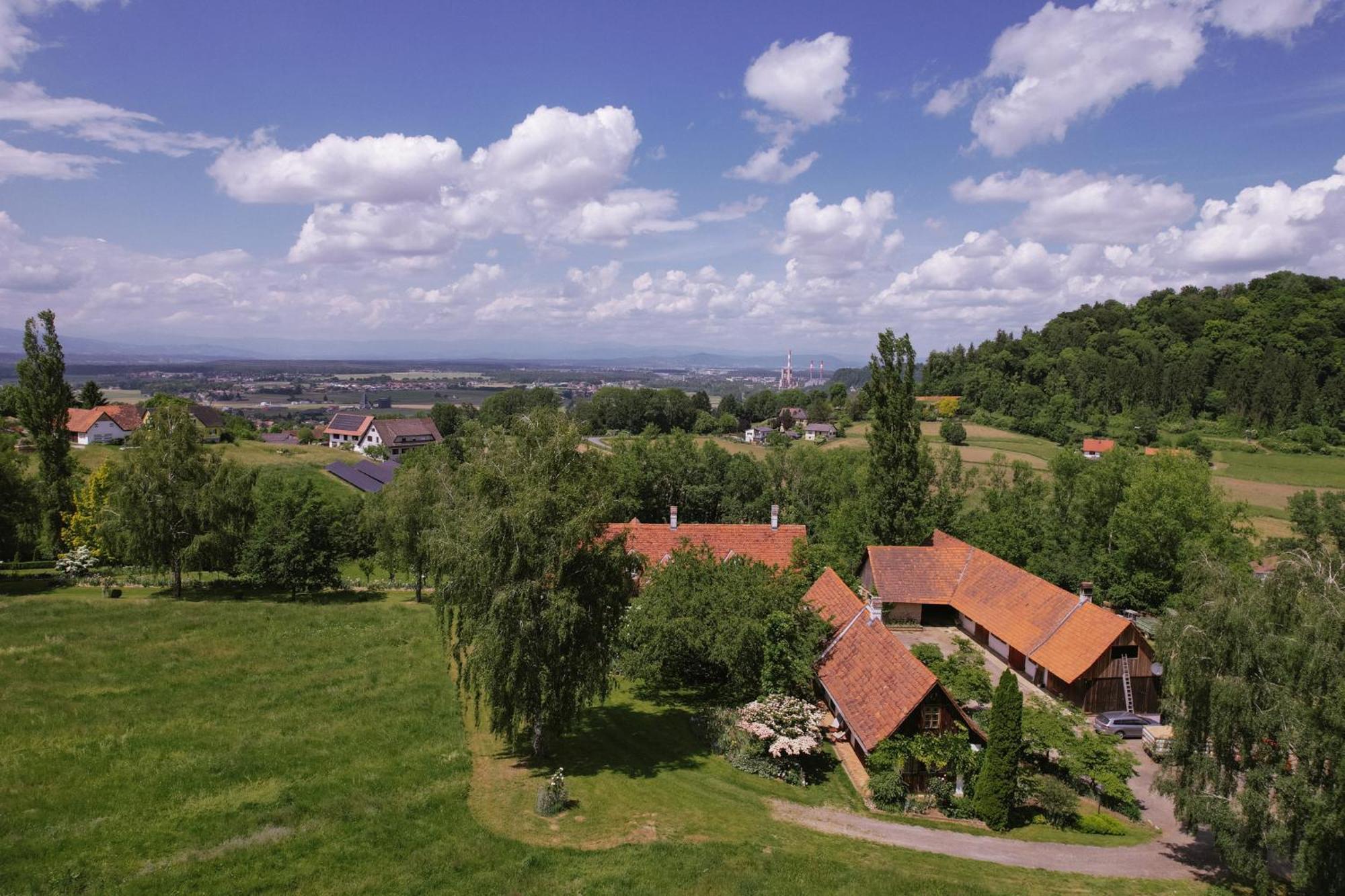 Ferienwohnung Lexsimihof - Stoeckl Wildon Exterior foto