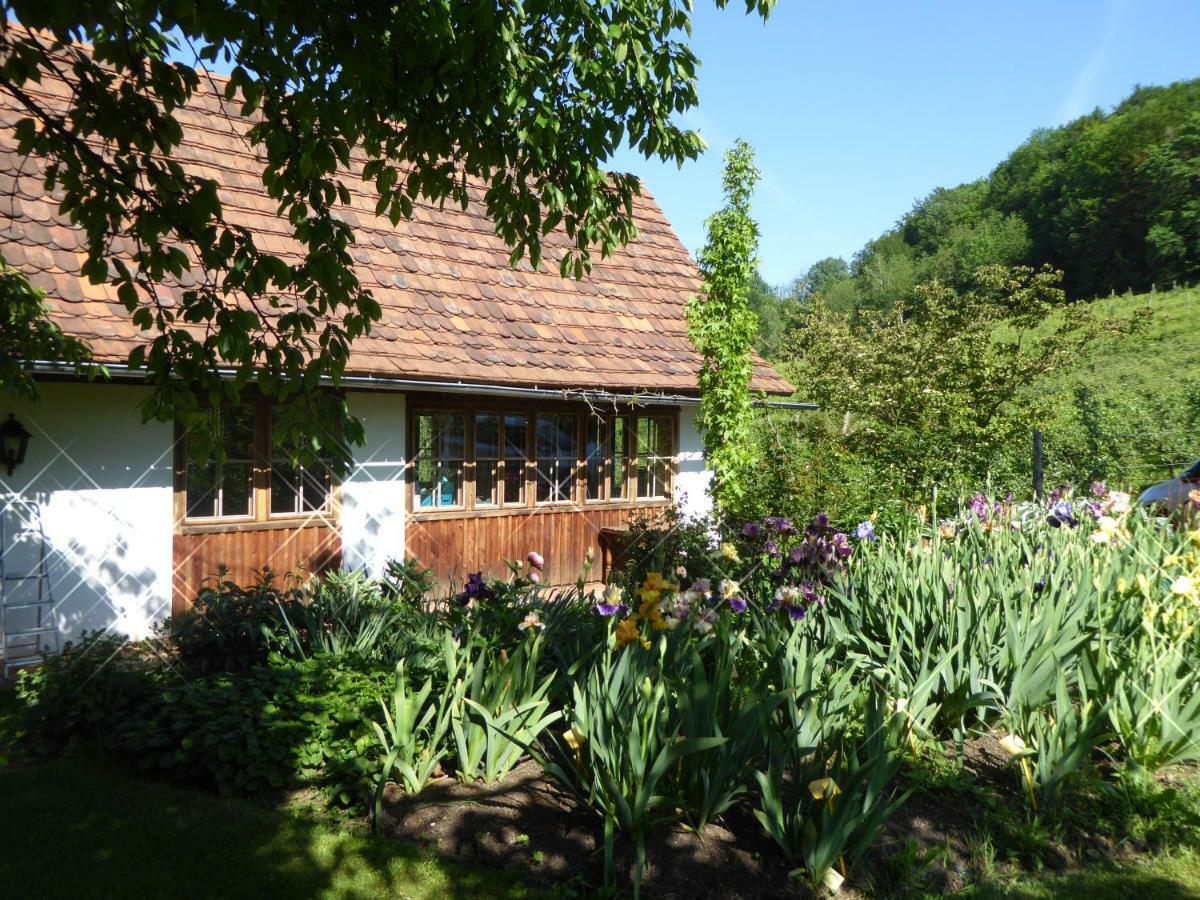 Ferienwohnung Lexsimihof - Stoeckl Wildon Exterior foto